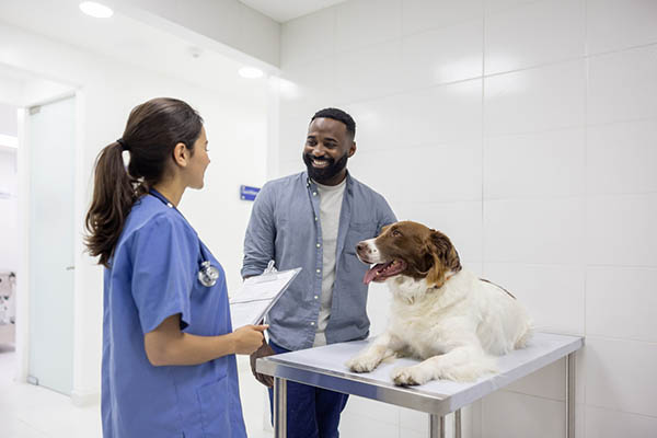 Veterinarian examining a dog at the animal hospital and talking to his owner